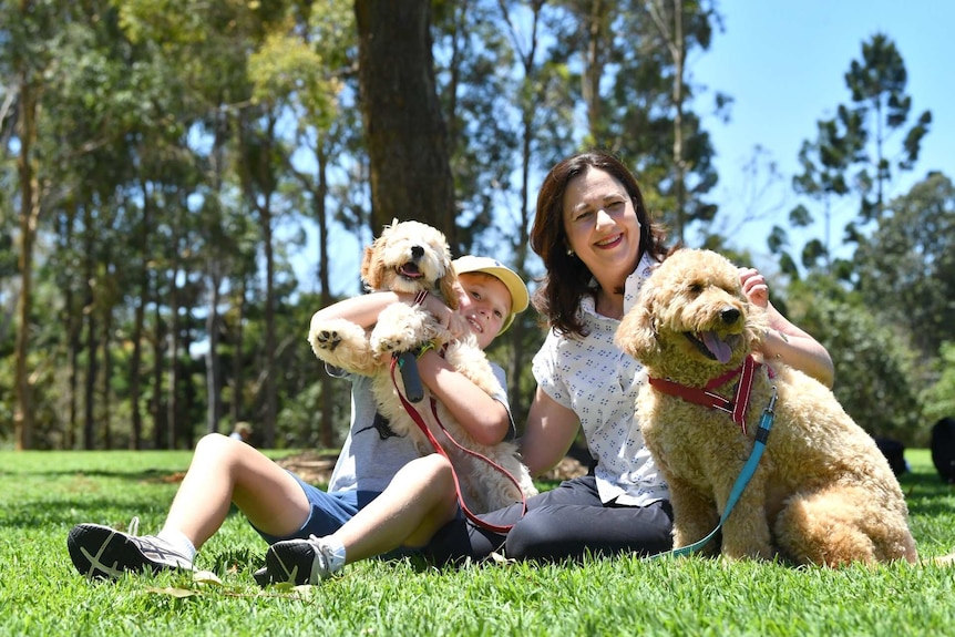 A woman and a young boy with two dogs in a park.