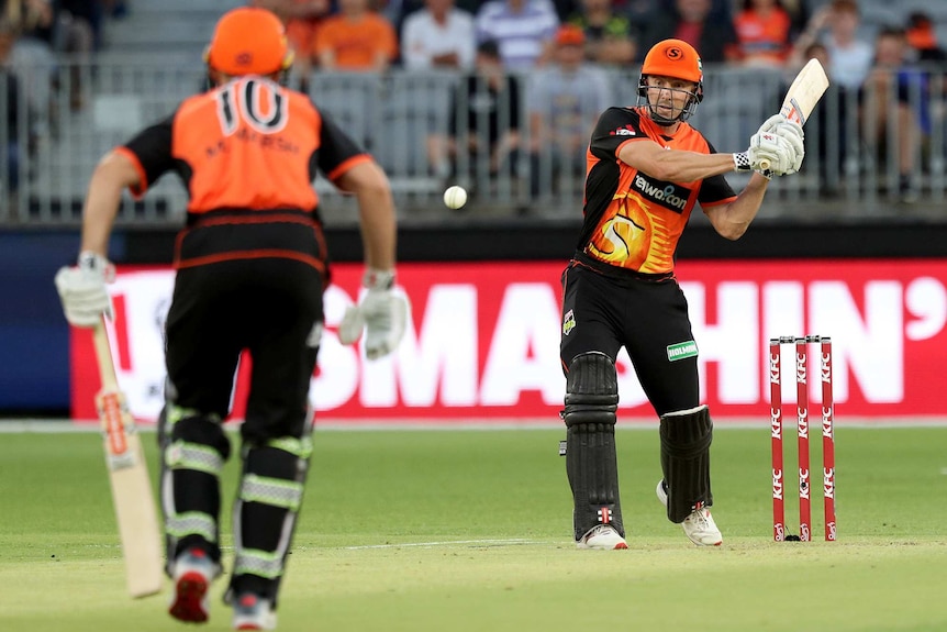 Shaun Marsh hits a cricket ball down the pitch towards teammate Mitch Marsh while batting for the Perth Scorchers.