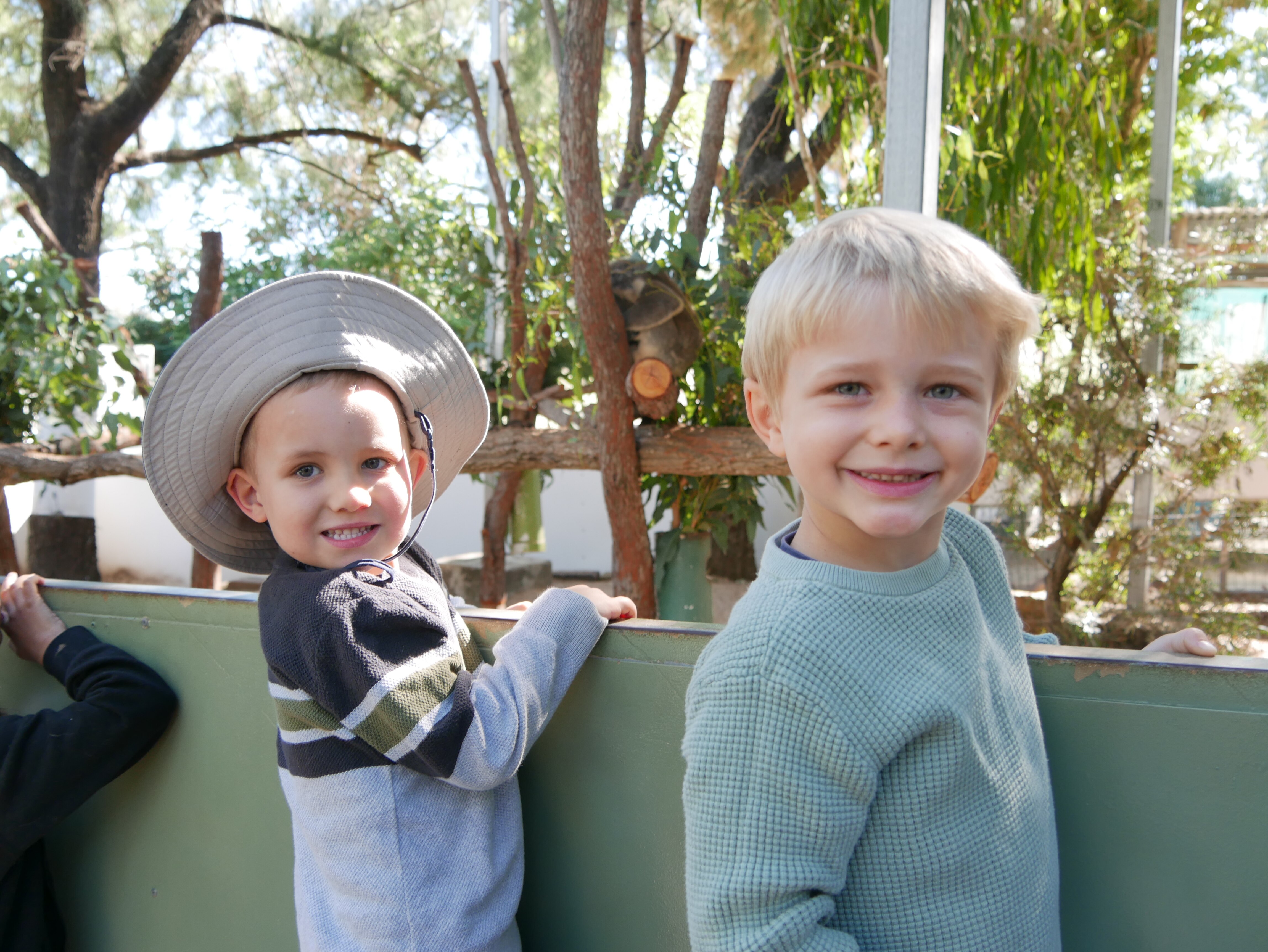 Two toddler boys in jumpers smiling with koala sleeping in tree in background 