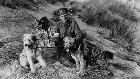 War dogs with soldier.