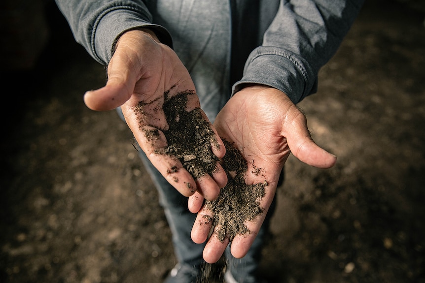 Colour close-up photo of a person's hands with soil from Asad Raza's public artwork Absorption at Carriageworks in Sydney.