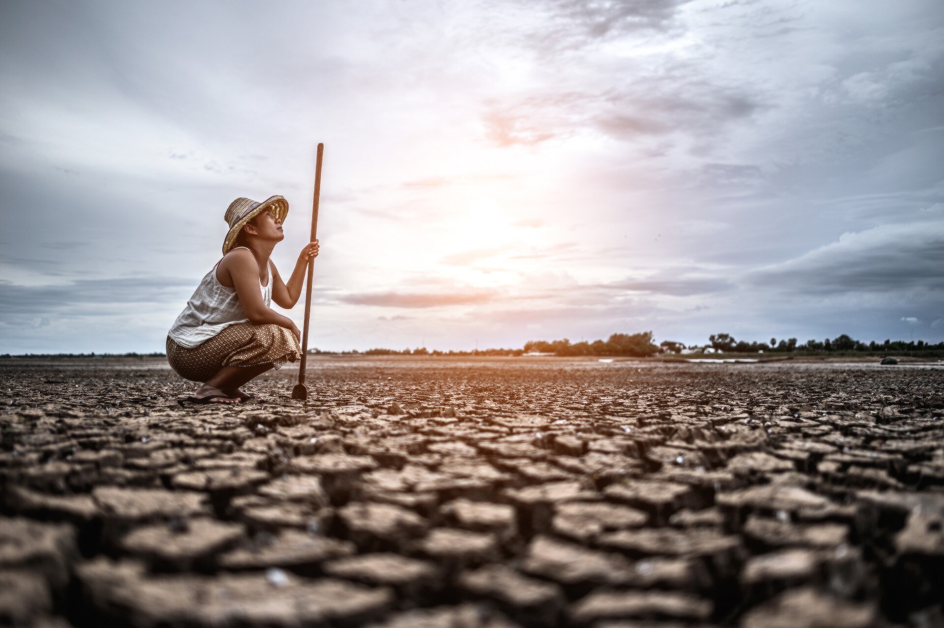 A farmer crouches on dry, cracked soil