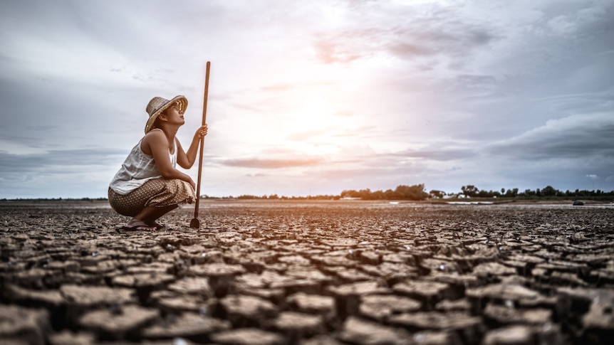 A farmer crouches on dry, cracked soil