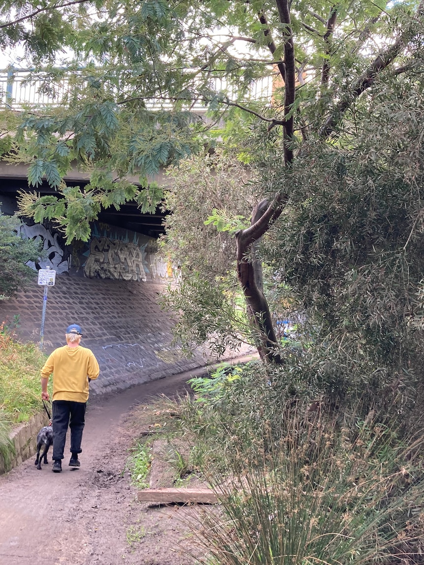 An unidentifiable person walking under an underpass in parkland.