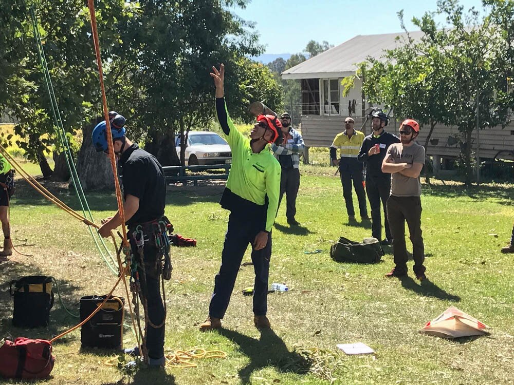 Queensland Tree Climbing Championships pushes arborists to new heights ...