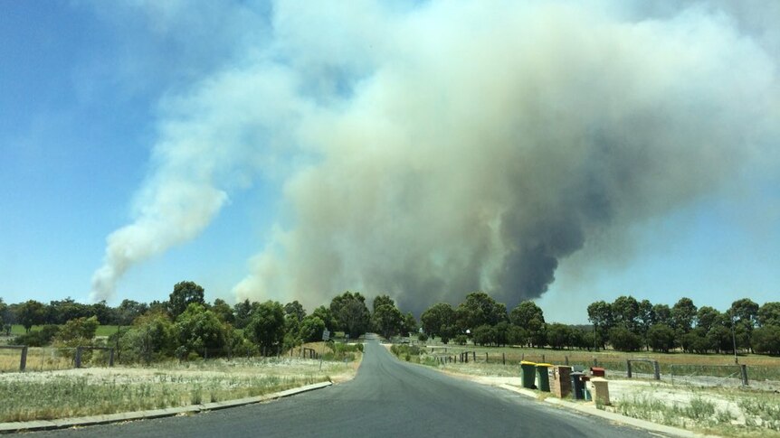 Smoke from a bushfire burning at Uduc in WA's South West fills the sky above bushland.
