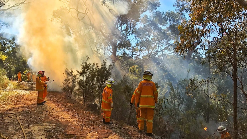 Fire crews from the NSW Rural Fire Service conducting hazard reduction burns