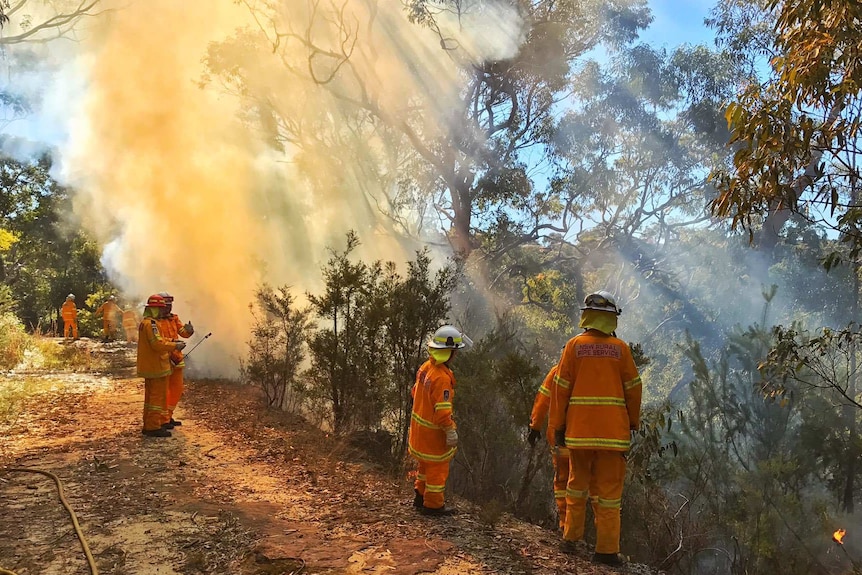 Fire crews from the NSW Rural Fire Service conducting hazard reduction burns