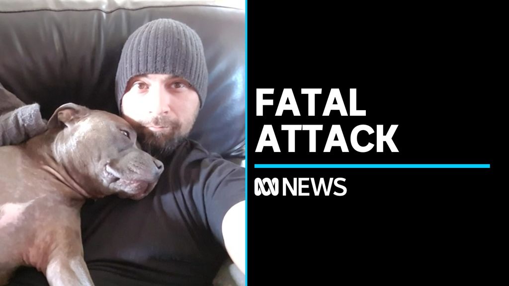 George Roberts - ABC News