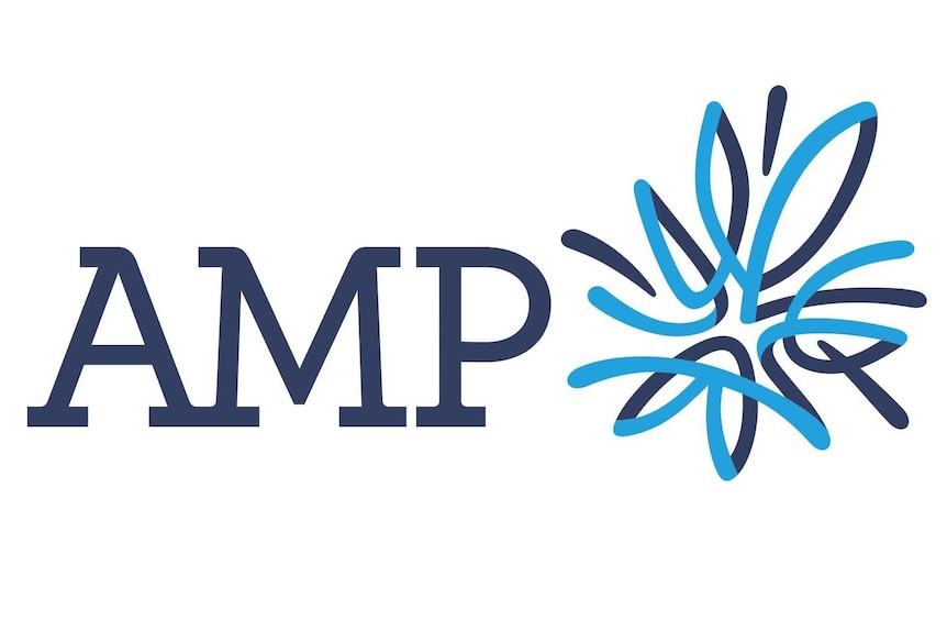 The AMP logo