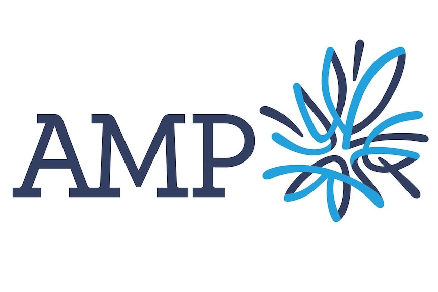 The AMP logo.