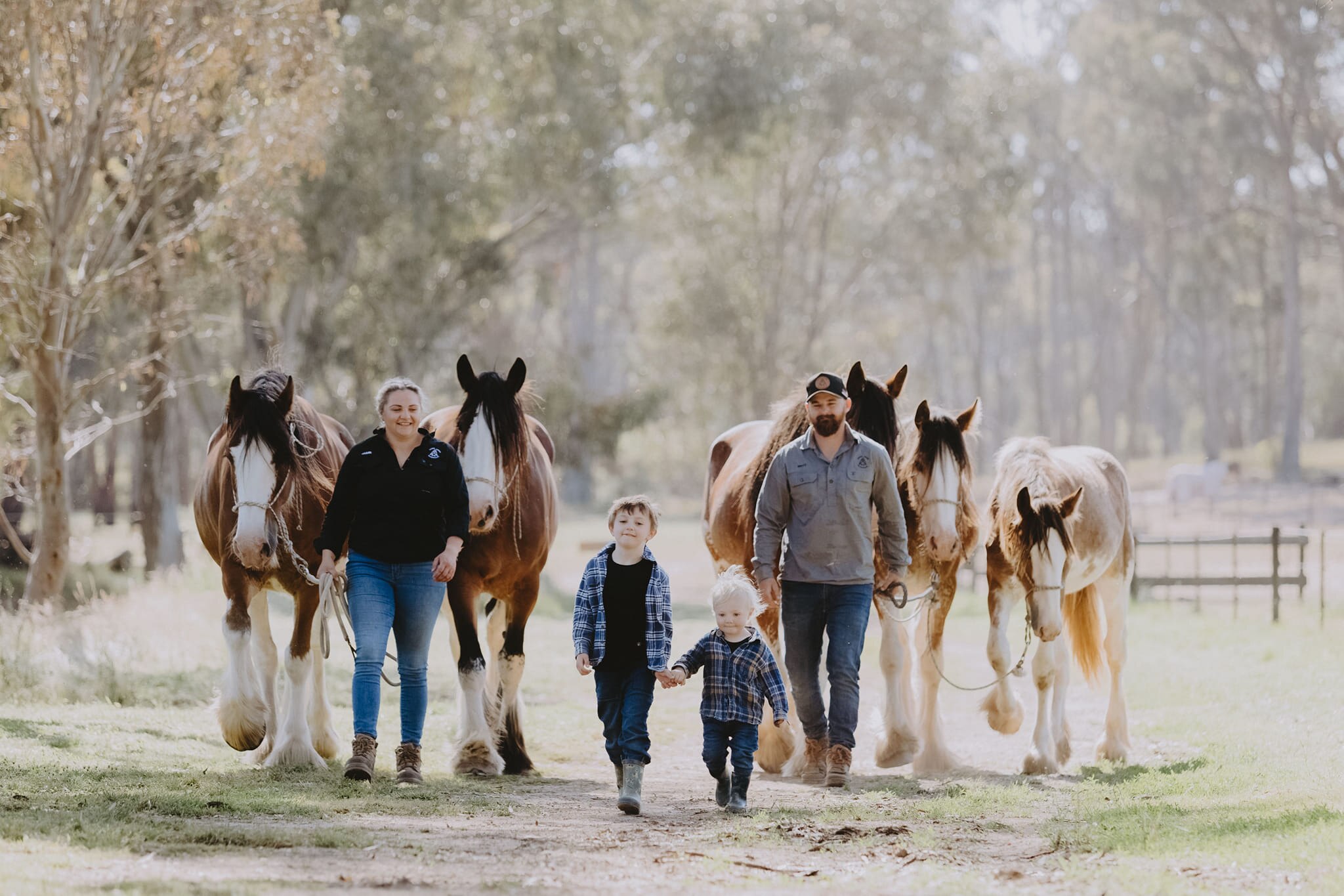 Two adults and two children walking with Clydesdale horses 