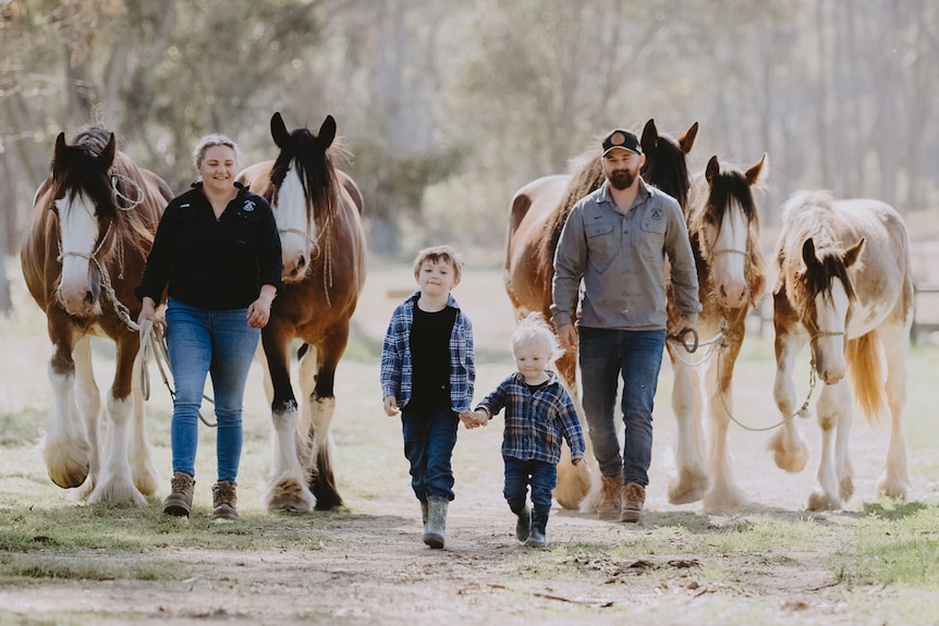 Two adults and two children walking with Clydesdale horses 