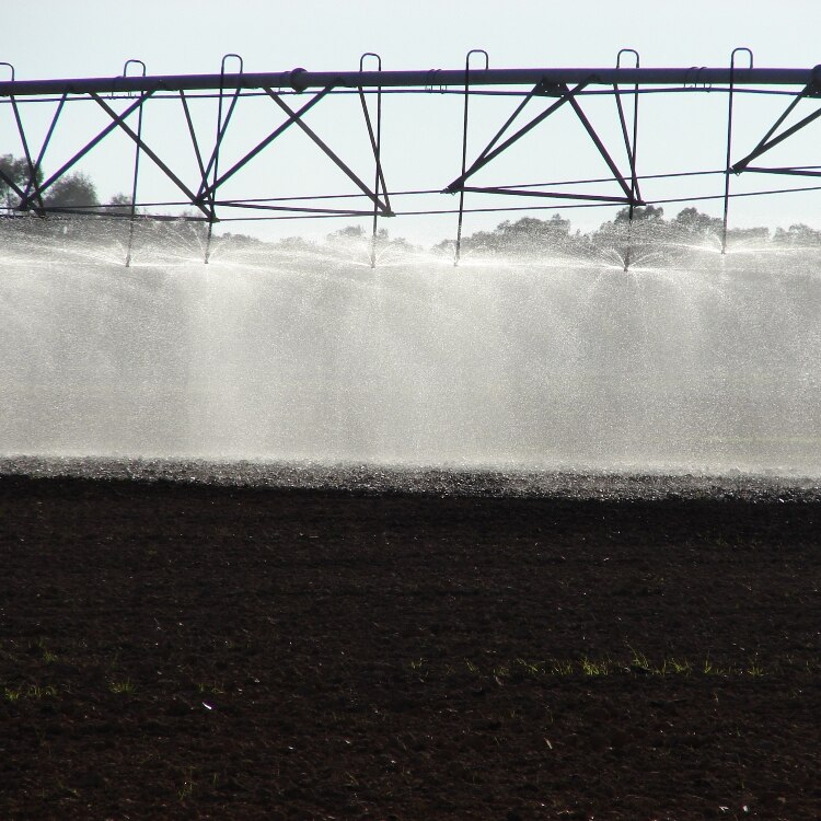 Irrigation in the Murray-Darling