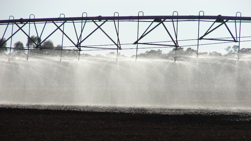 Irrigation in the Murray-Darling