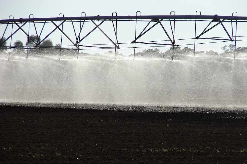 Irrigation in the Murray-Darling