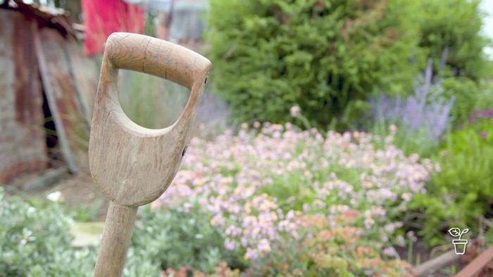 Handle of spade with flower bed in background