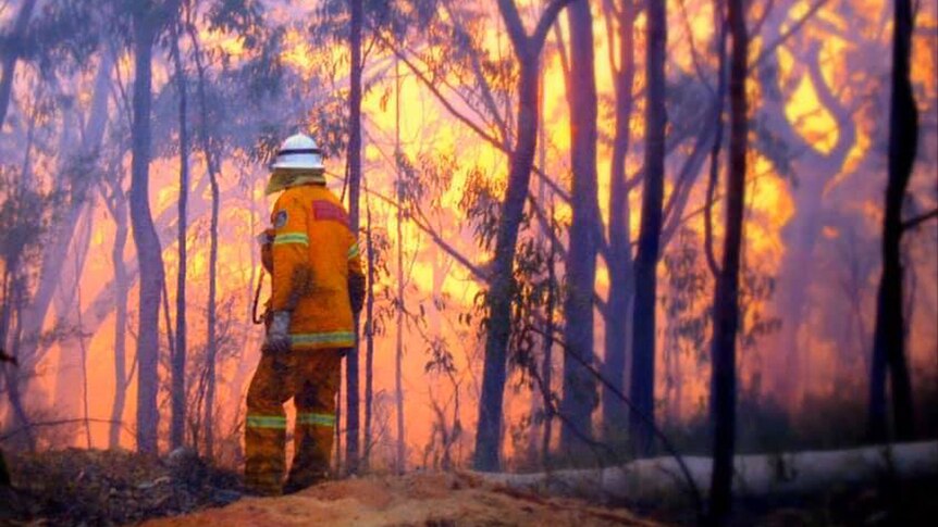 A man in a yellow Rural Fire Service uniform in front of a burning forest.
