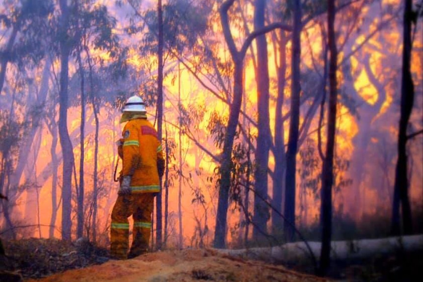 A man in a yellow Rural Fire Service uniform in front of a burning forest.