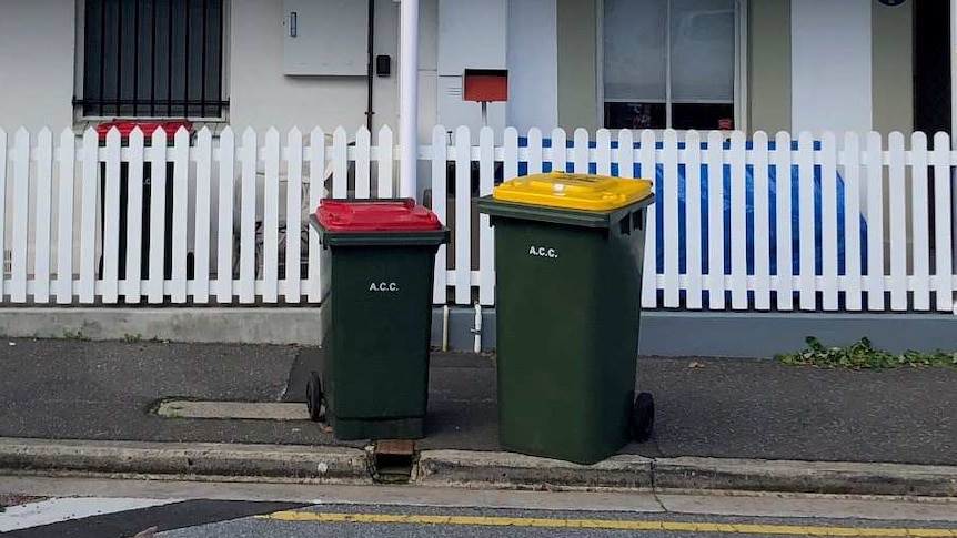 Two wheelie bins in front of a row of cottages