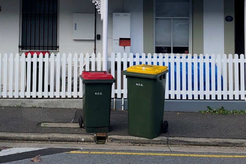 Two wheelie bins in front of a row of cottages