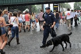 Police sniffer dog at Sydney Big Day Out