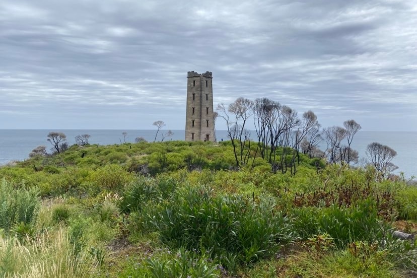 An old tower in greenery by the water.