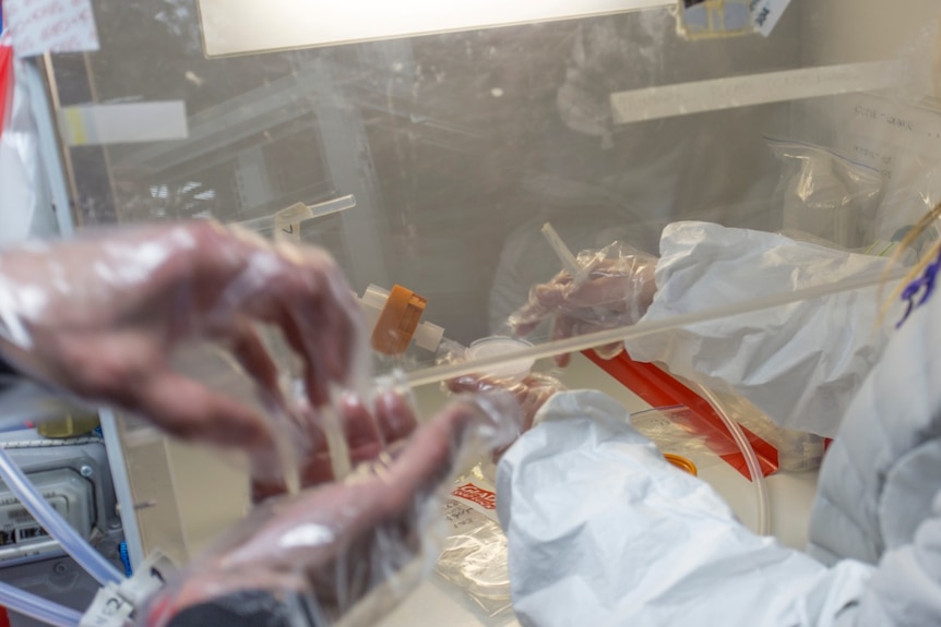 Scientists analyse samples in Investigator's aerosol laboratory