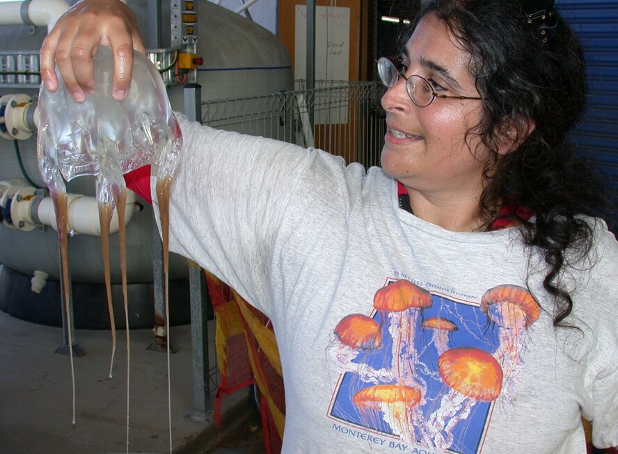 Dr Lisa Gershwin in a white tshirt holding a large box jellyfish by its bell in her right hand