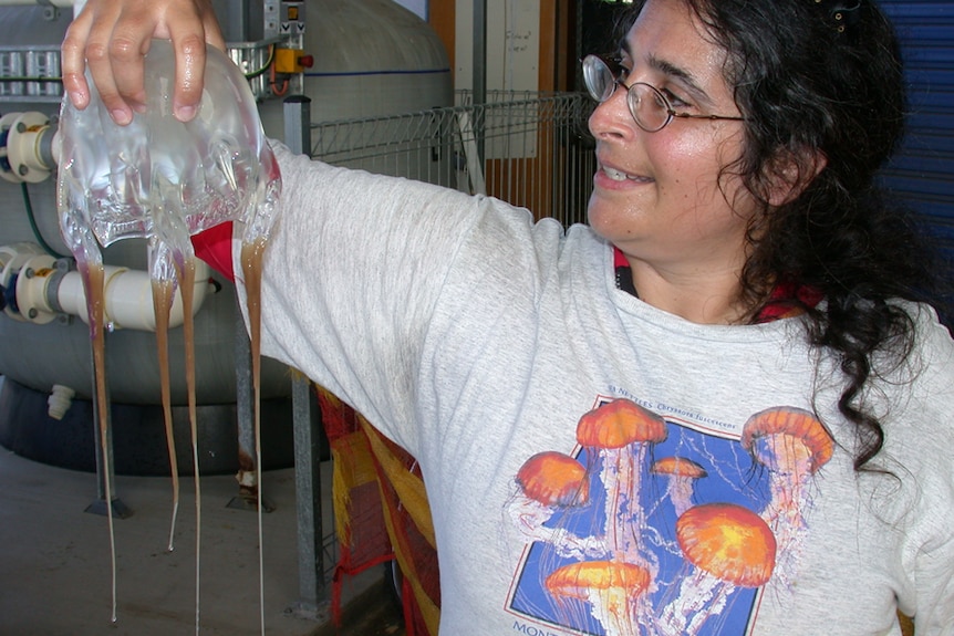 La Dra. Lisa Gershwin con una camisa blanca sostiene una gran caja de medusas junto a su campana en la mano derecha.