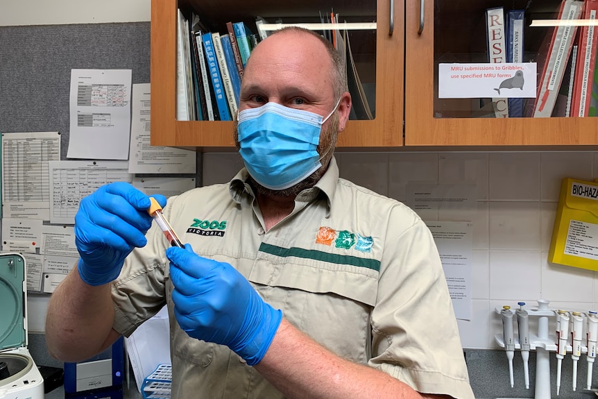 A man in a zookeeper's uniform holds a vial with a sample inside it. 