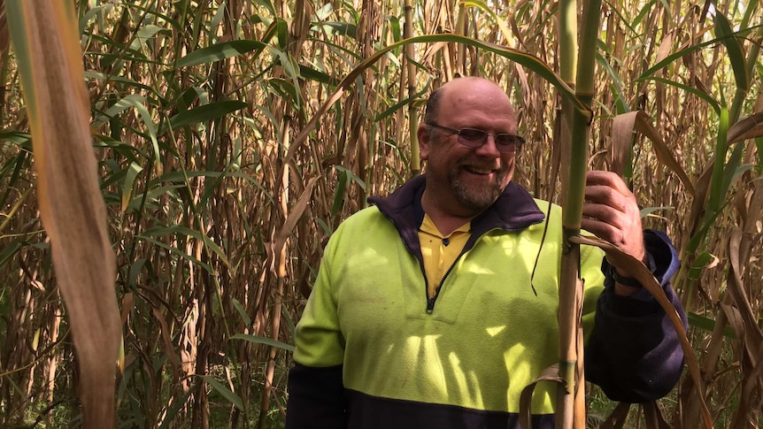 Vineyard manager Barrie Williams at the Temple Bruer Winery in South Australia.