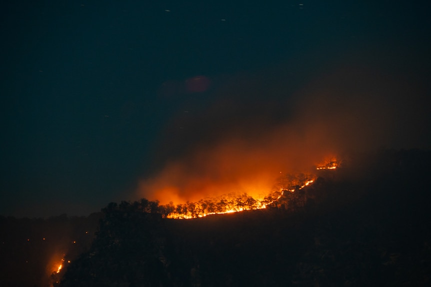 NIght time, trees on fire, orange/red glow, smoke. 