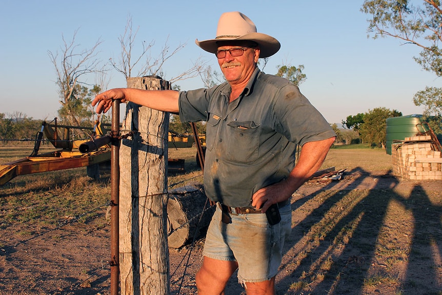 Nebo cattle producer Greg Boto