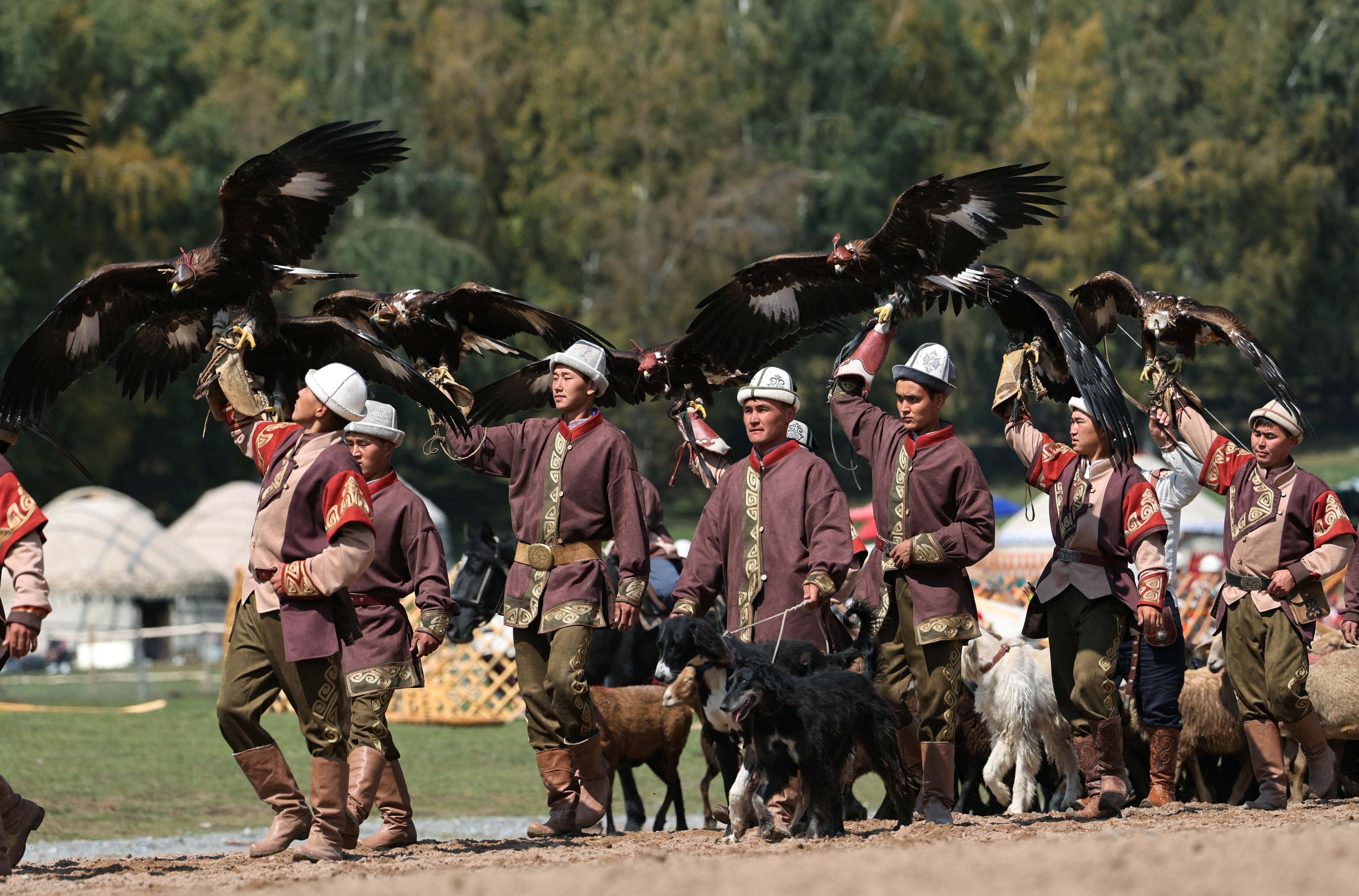 Men wearing traditional Central Asian dress, holding eagles and leading dogs.