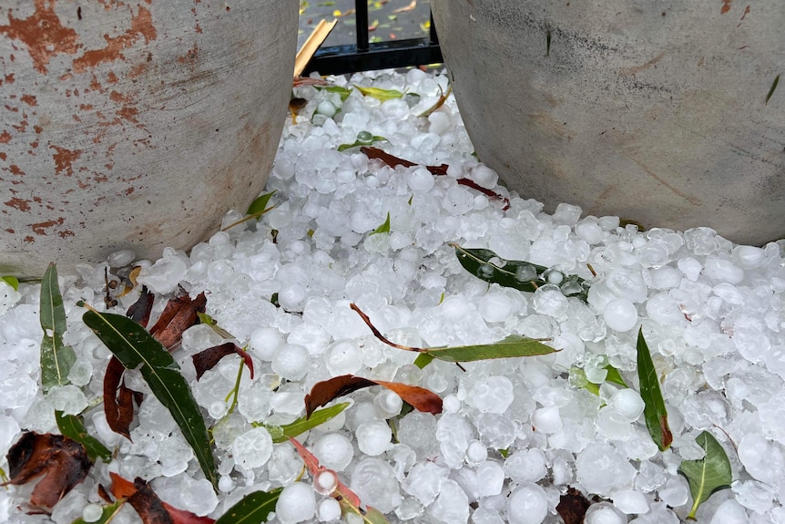 Large hailstones on the ground around two outdoor pots.