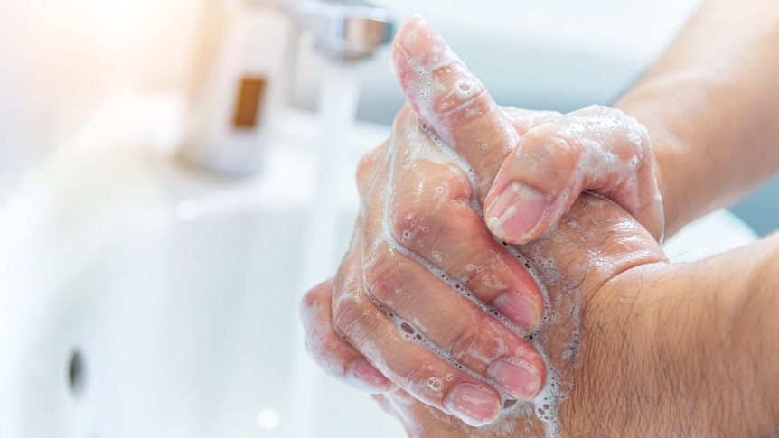 Two hands being washed with soap in a sink