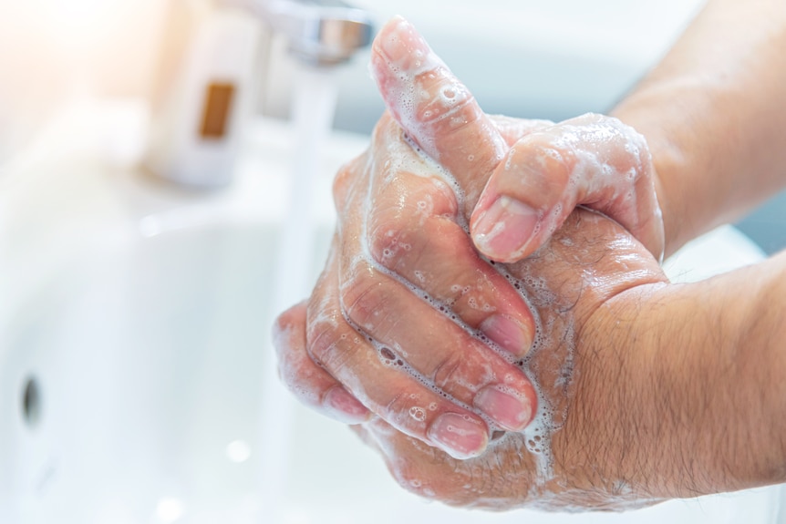 Hand hygiene is important, but how do we look after the 'good bugs' on our  skin too? - ABC News