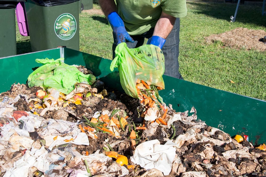 Feeding the worm farm organic waste