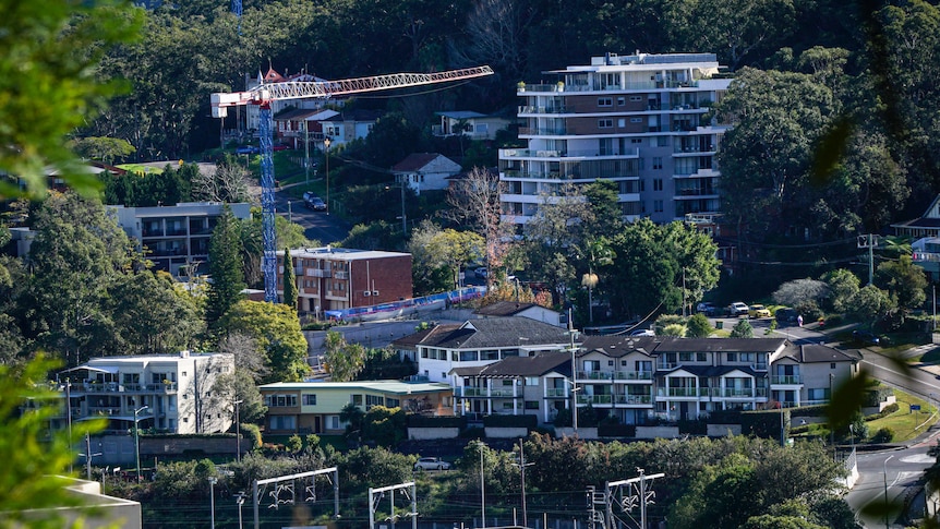 A view of Gosford's city centre from Rumbalara Mountain.