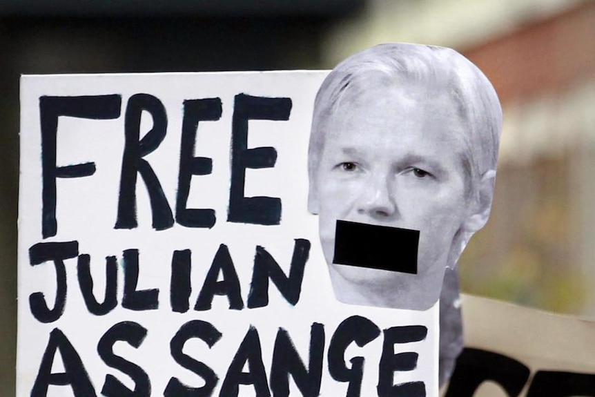 Julian Assange polarises film-makers as well as journalists and academics.