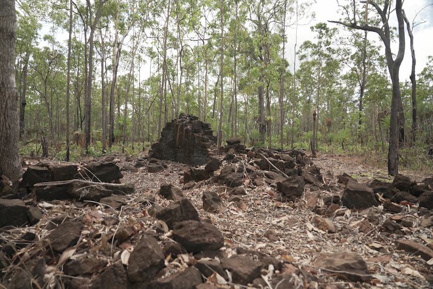 A mound of crumbling bricks in the middle of a wooded forest.