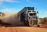A road train throws up clouds of dust as it travels down a dirt road in the outback.