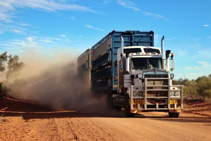 A road train throws up clouds of dust as it travels down a dirt road in the outback.