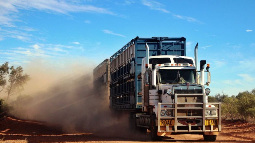 A blue road train drives along a red dirt road.