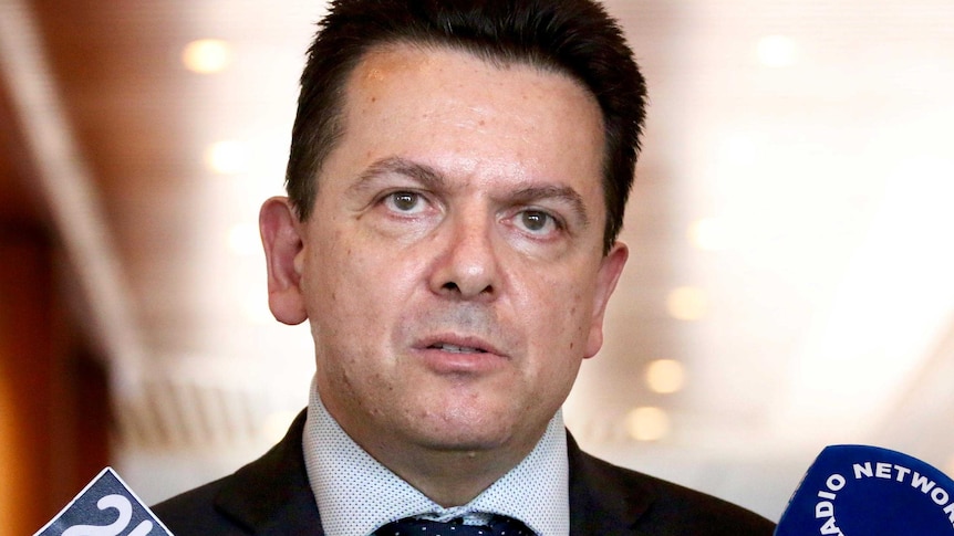 Nick Xenophon speaks to the media