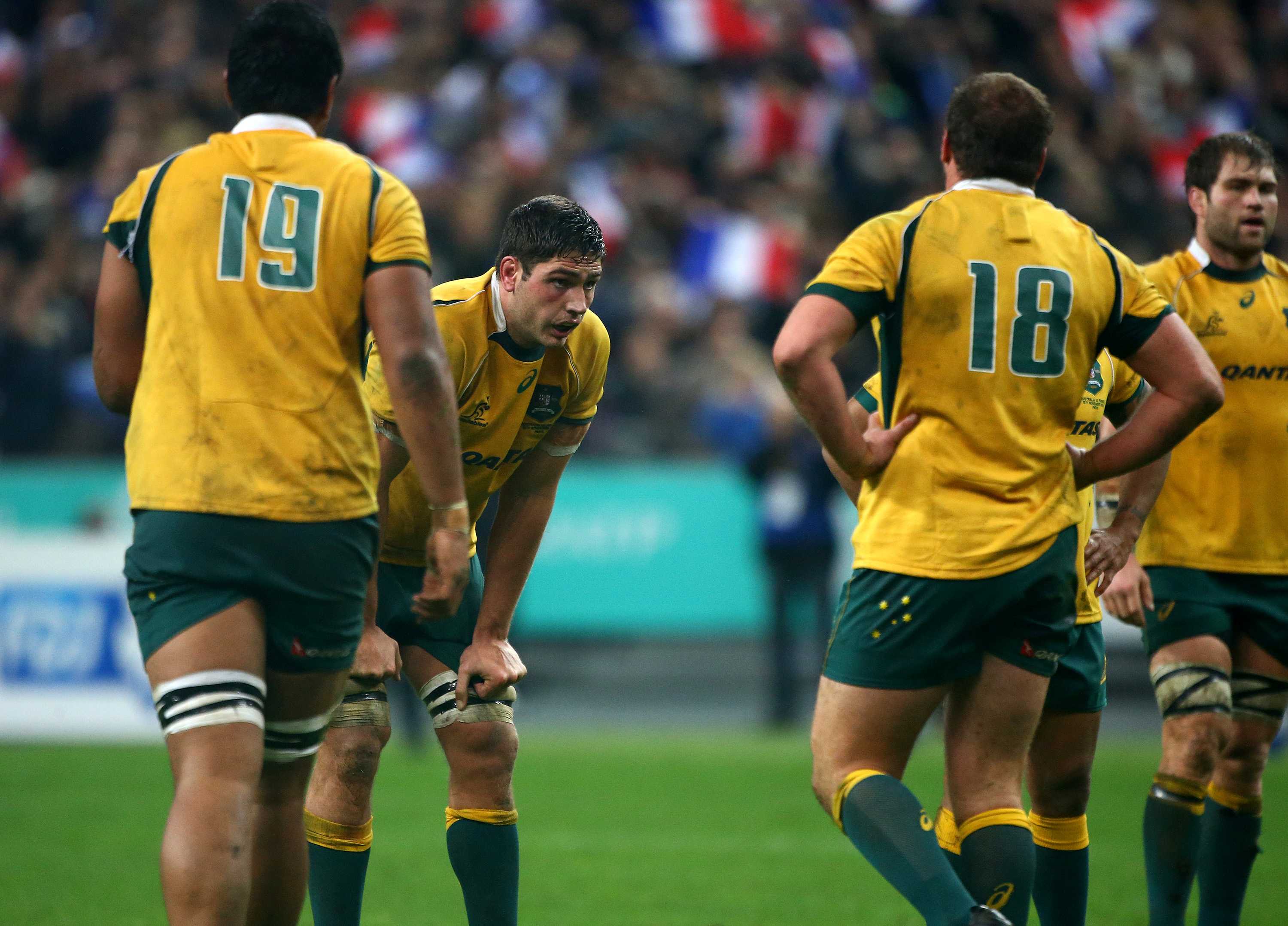 Wallabies ready to show new identity against Springboks in Rugby ...