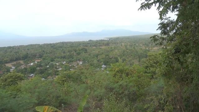 View of green valley from high location