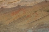 Aboriginal rock art and artefacts have been found at the Wollemi National Park.