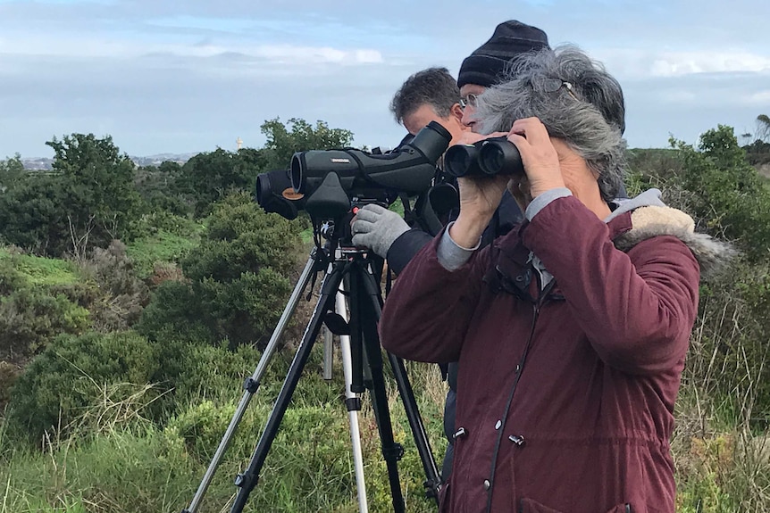 Three people stare through cameras and binoculars, looking for birds at the Moolap flats.